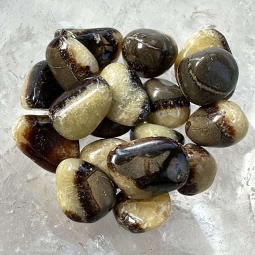 Septarian Nodule