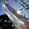 Lemurian Seed Quartz 6