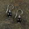 Shungite Earrings