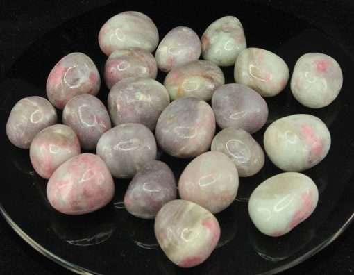 Lepidolite & Pink Tourmaline Tumbled Stones Sm